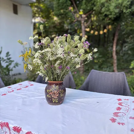 The Garden Corner House * Brasov